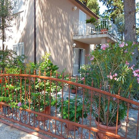 Adrienn Apartments Стари Град Экстерьер фото