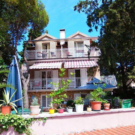 Adrienn Apartments Стари Град Экстерьер фото